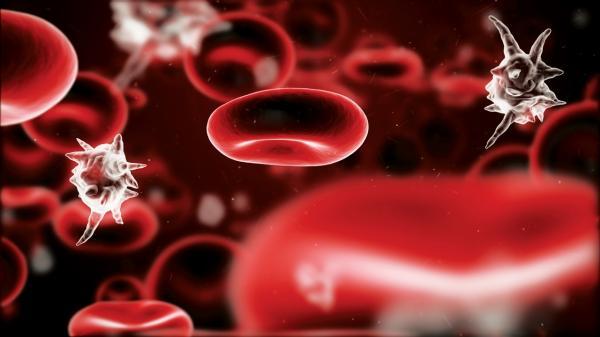 چه چیز باعث نشت رگ های خونی می گردد؟، روشی تازه برای درمان سپسیس