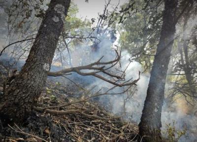 هشدار درباره احتمال آتش سوزی جنگل ها